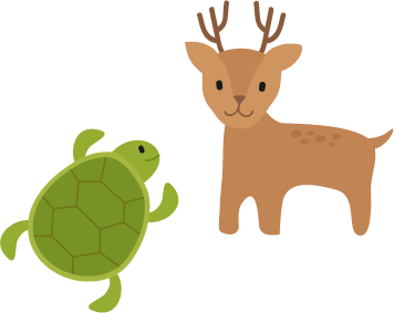 カメとシカ